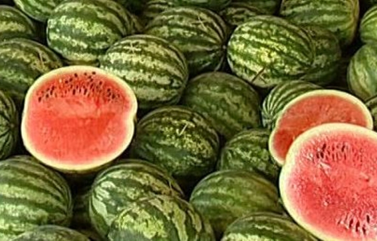 Indul a dinnyeszezon - hamarosan itt a magyar dinnye
