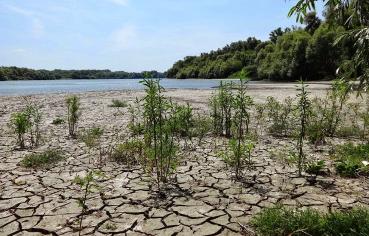  Rendkívül alacsony a vízállás a Duna és a Tisza több szakaszán