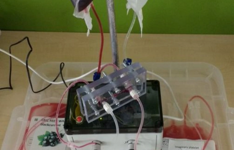 Vérlemezkéket gyártó őssejtet növesztettek laboratóriumban brit kutatók