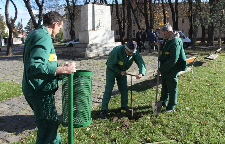 Miskolc egyre többet tesz a környezetért