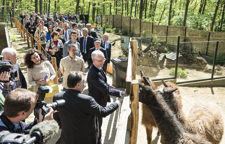 Újabb látványossággal bűvült a Nyíregyházi Állatpark