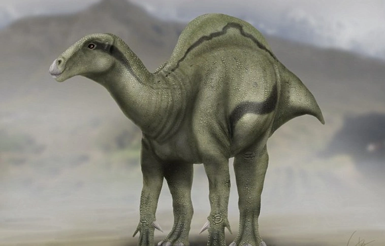 Púposhátú dinoszaurusz maradványaira bukkantak Spanyolországban 