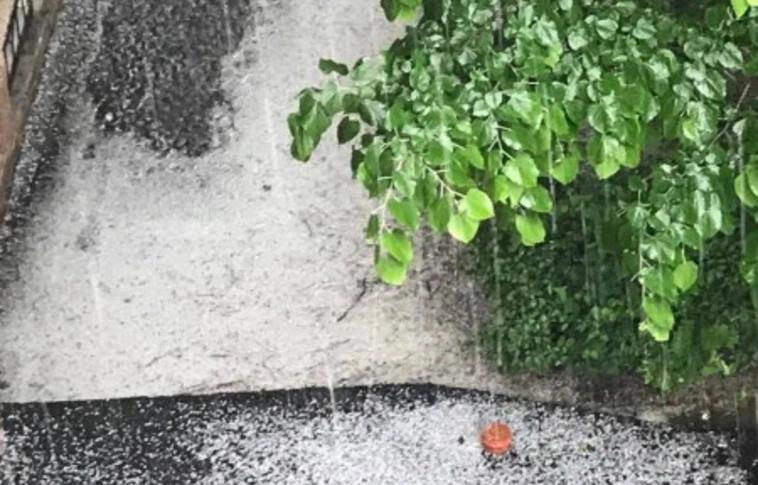 Szinte teljesen letarolta a mátrai borvidéket a jégeső