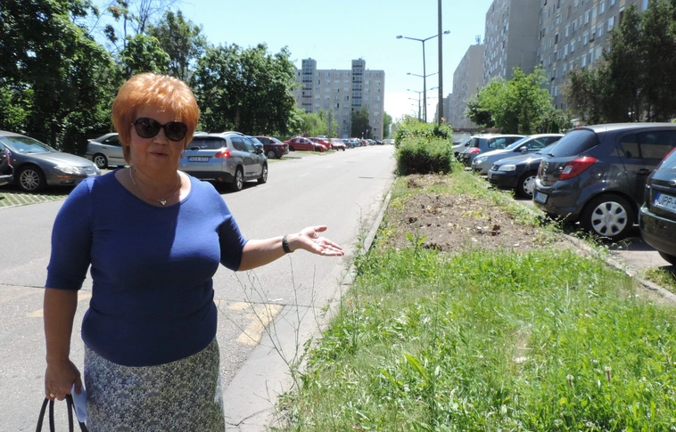 Új buszjárat indul az Avasról a piacra
