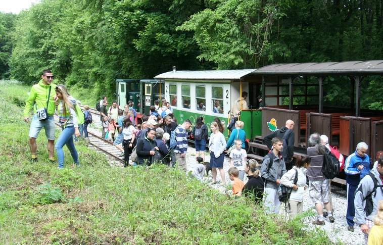 Csaknem kétszázan utaztak Mahócára 