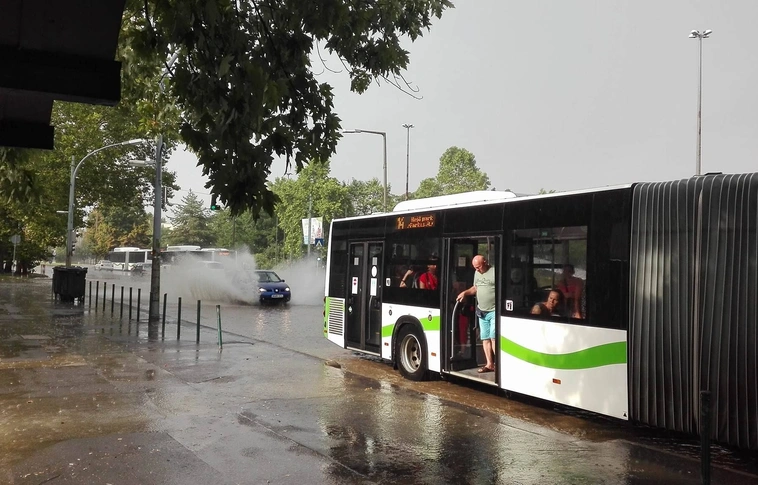 Jött, ment, jót esett: fűnek, fának jólesett