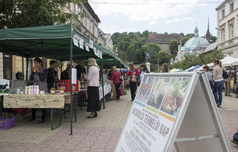 Frissen, üdén, egészségesen – Júniusi termelői nap az Erzsébet téren!