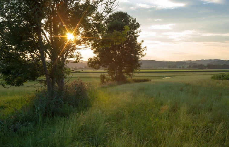 A gazdák számára kedvezően módosul több agrár-vidékfejlesztési rendelet