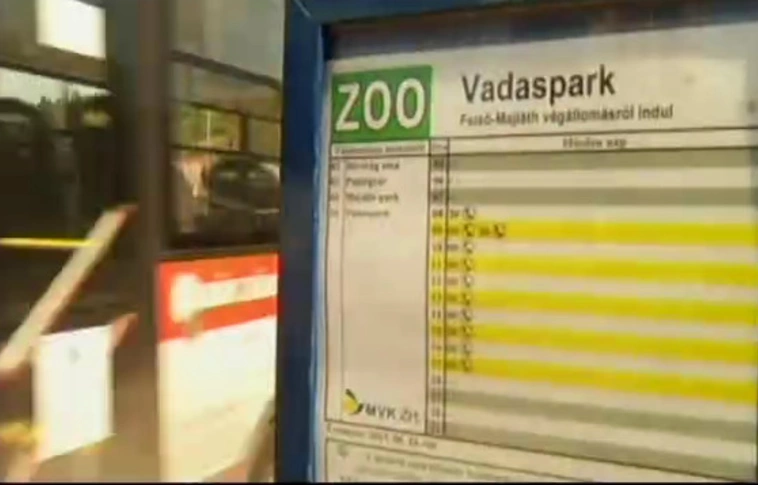 ÉjszakáZOO járatok indulnak a Miskolci Állatkert és Kultúrparkba