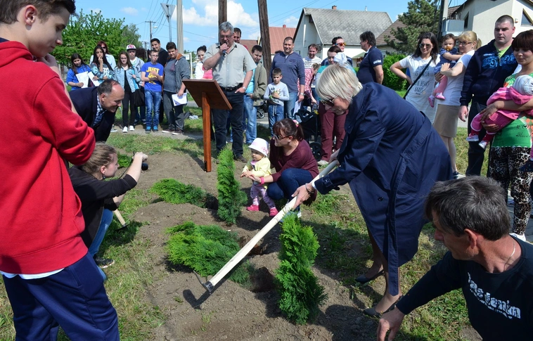 Életfákat ültettek Arnóton