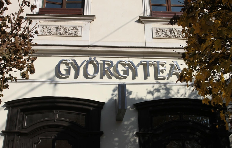 A miskolci főutcán nyitott boltot a füvesember