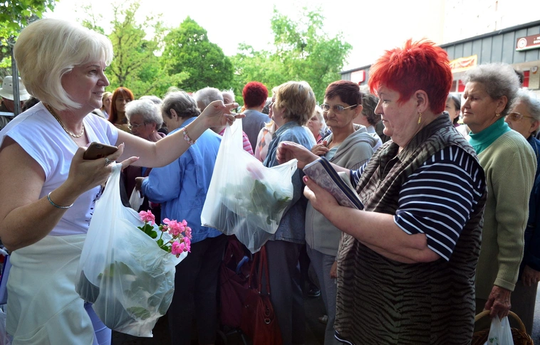 Ezer virág színesíti a diósgyőriek életét