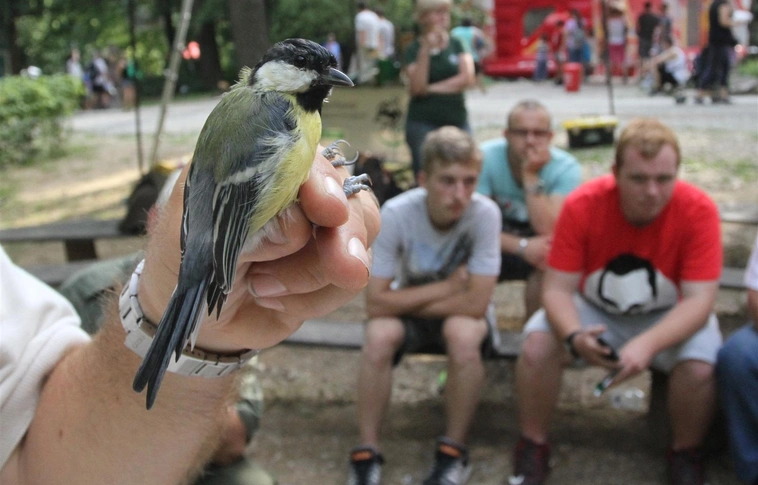 33 éve: Miskolci Állatkert és Kultúrpark