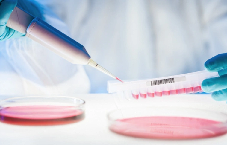 Donor immunsejtekkel vette fel a harcot a rák ellen egy kutatócsoport