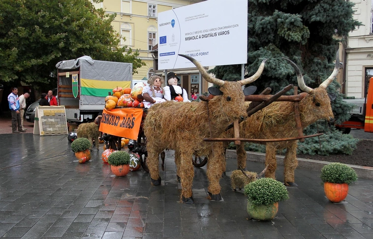 A közfoglalkoztatás eredményeit is bemutatják