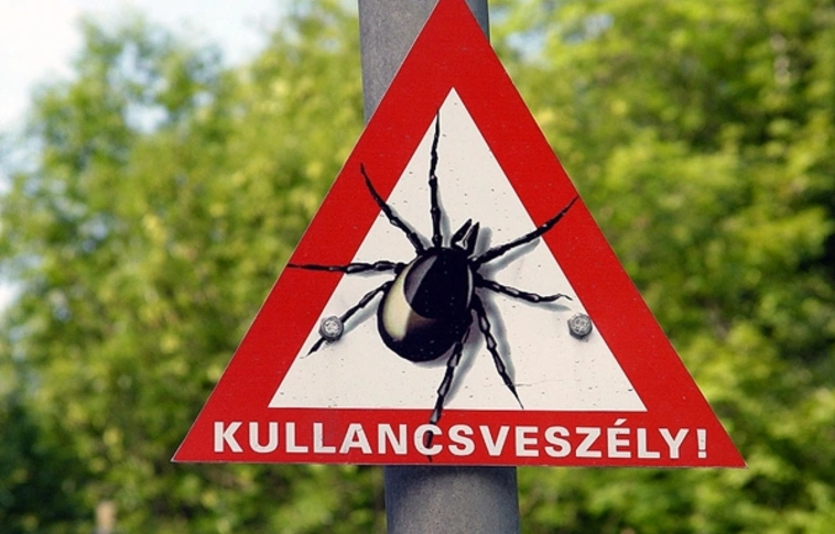 Időszerű a kullancs elleni védőoltás