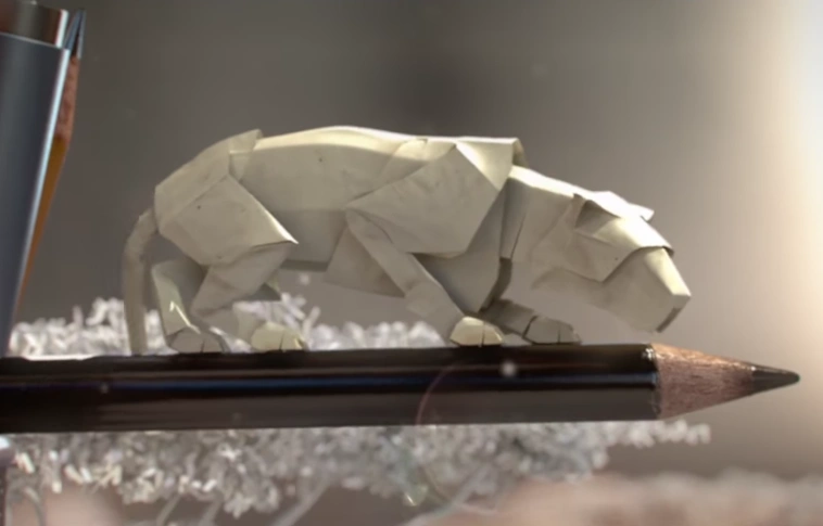 Büszke a Cannes Lions fesztiválon elnyert bronz oroszlánjára a WWF Magyarország