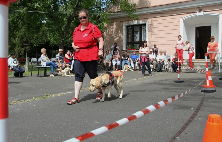 Vakvezető kutyás bemutatót tartottak