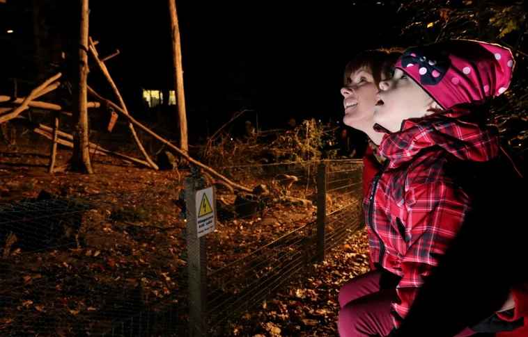 Fogaikkal faragták a töklámpást, avagy állatkerti halloween (Képgalériával!)