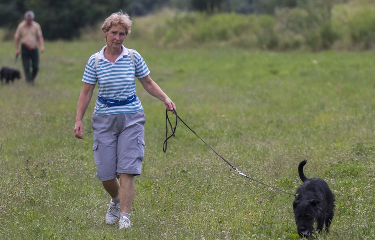 Az idősebb embereknek receptre kellene kutyát felírni, hogy többet mozogjanak