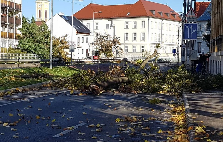 Faágakat szakított le, tetőt bontott a viharos szél Miskolcon
