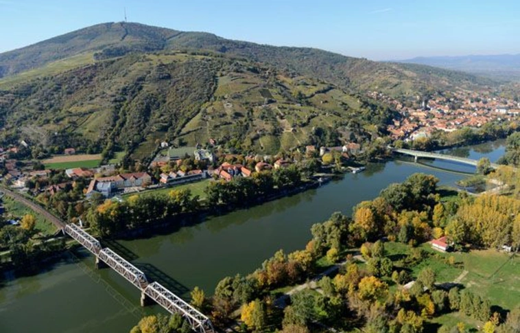Kiemelkedő minőségű bortermés várható az idén