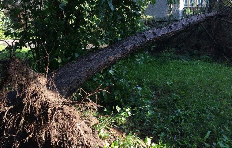 Károkat okoz a viharos szél Borsodban is