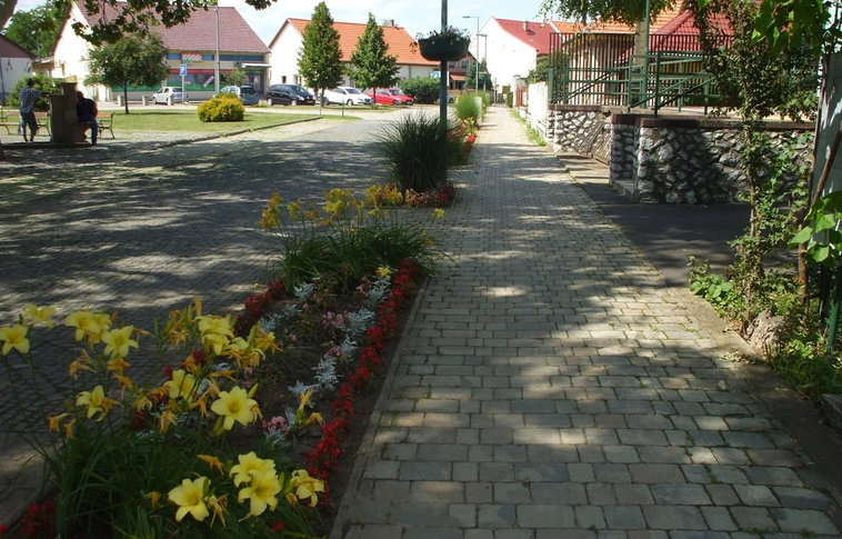 „Kizöldül” Felsőzsolca