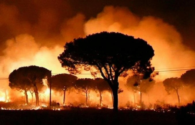 Az Európai Unió segítséget nyújt Svédországnak az erdőtüzek megfékezésében