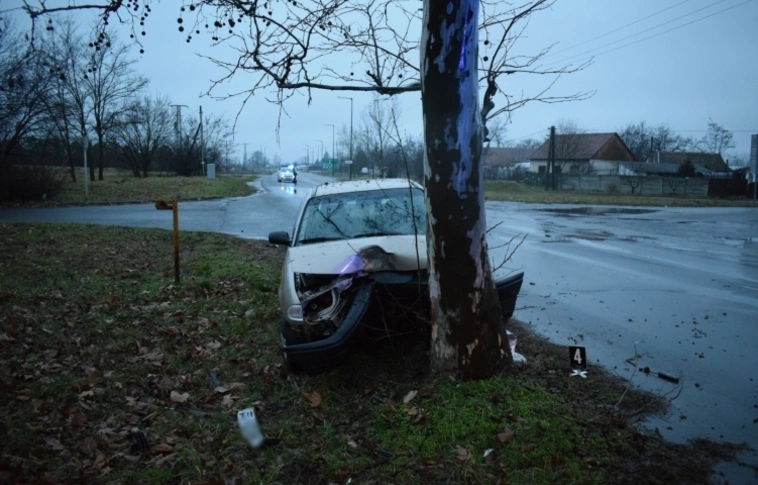 Öngyilkosjelölt vagy csak elaludt? - fának hajtott egy nő