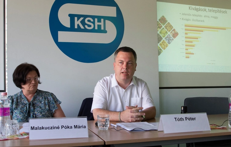 A következő öt évben ötezer hektárral nőhet a gyümölcsösök területe