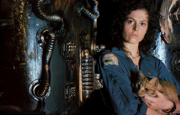 Saját sztorit kapott A nyolcadik utas: a Halál cicája, Jonesy