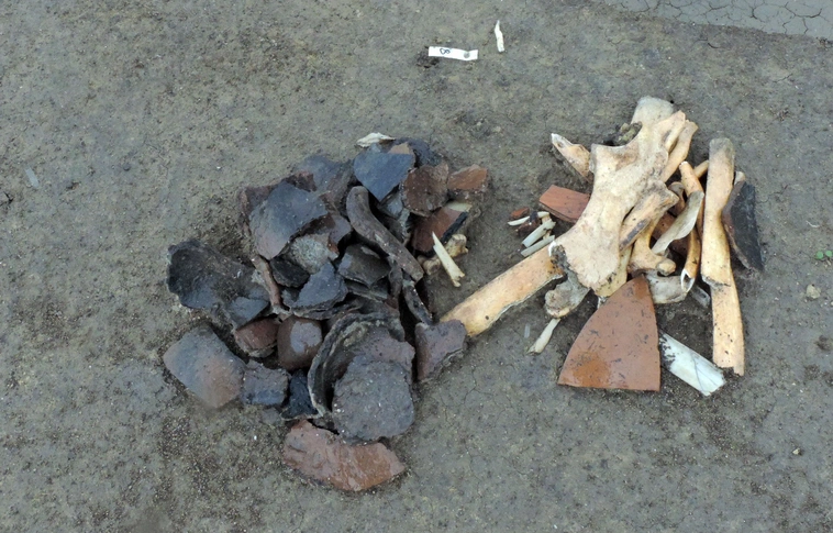 Hatezer éves leletekre bukkantak az M76-os zalai nyomvonalán