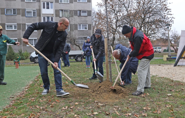 Közösségi faültetés a Győri kapuban