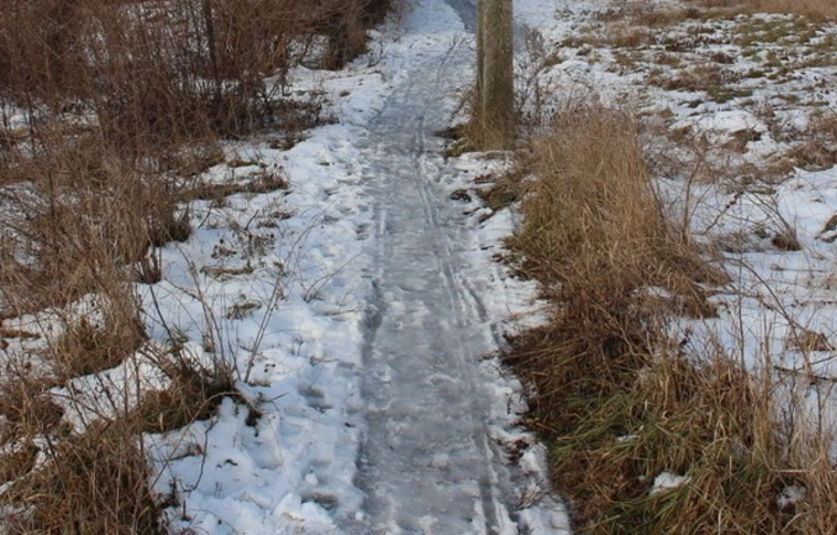 Valódi amatőr! – Házáig szórta a lopott fűrészport