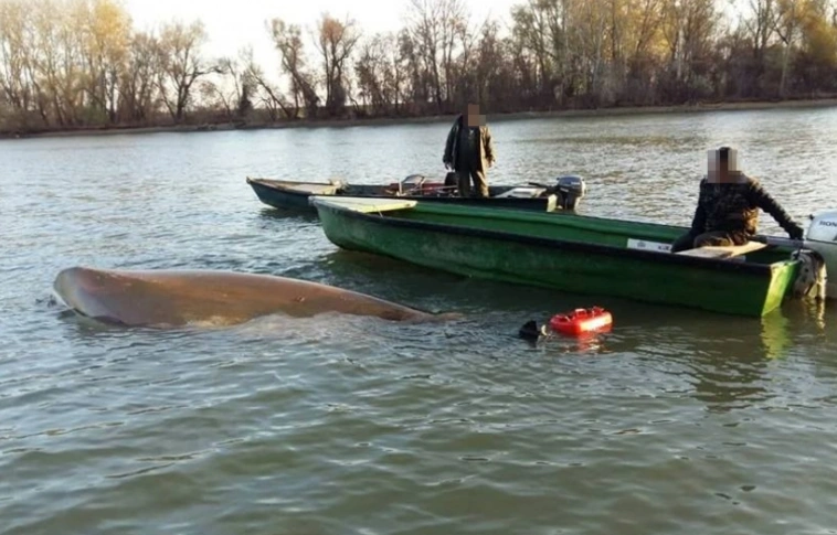 Kimentették a jéghideg vízbe esett horgászokat