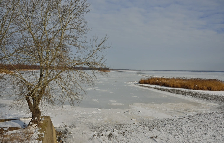 Téli vízszinten a Tisza-tó