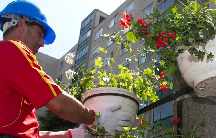 Megjelent az Avasi és a Diósgyőri Horizont Helyi Közösség legújabb pályázati felhívása