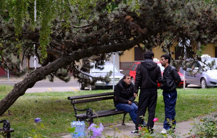 Nem csökken a menekültáradat a Vajdaságban