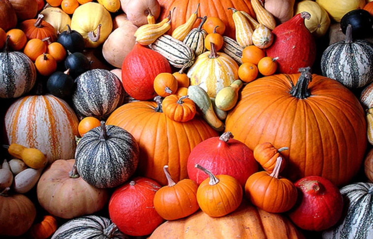 Rejtély – Halloween-ra készülhetett a 70 éves néni, aki harminc dísztököt próbált ellopni?