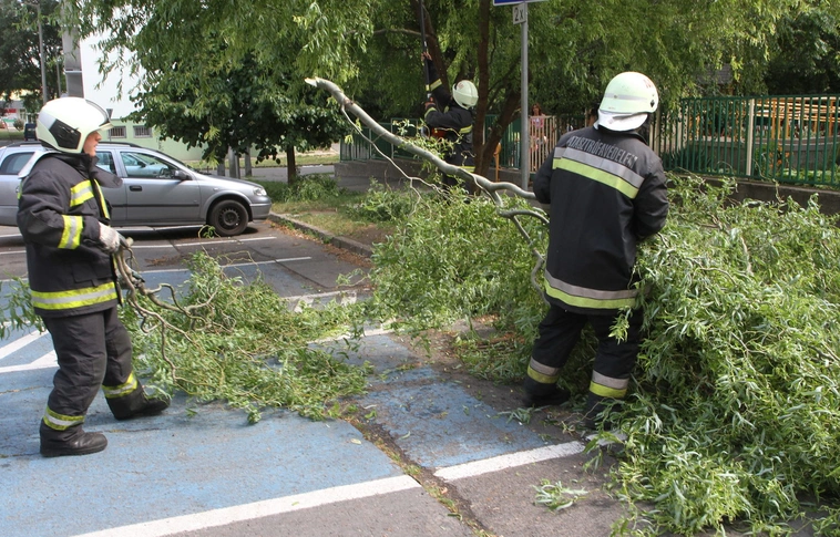 Leszakadt ágakhoz riasztották eddig a tűzoltókat a megyében