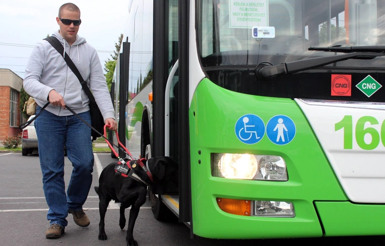 Vakvezető kutyákkal is kipróbálták a CNG buszokat