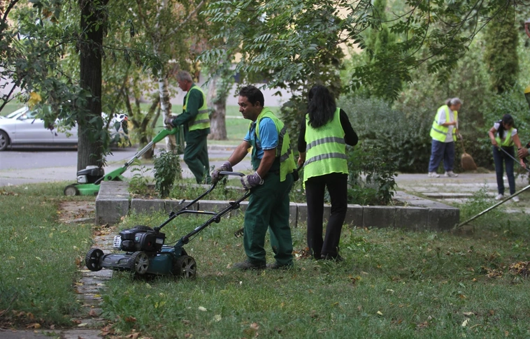 Újabb közfoglalkoztatási program az Északerdő Zrt.-nél