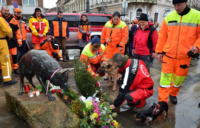 Mancsot is felvették Miskolc nemzeti értékei közé
