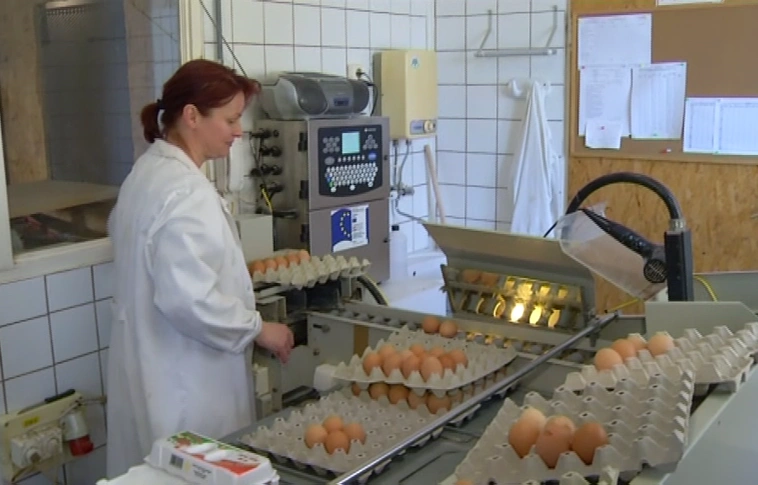 A pályázati lehetőségekről tájékoztattak Arnóton