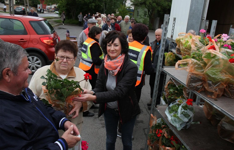 Virágba borul Martin-kertváros és Szirma
