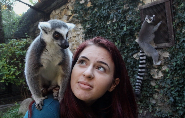 Lemur Nap és Halloween Est a miskolci állatkertben