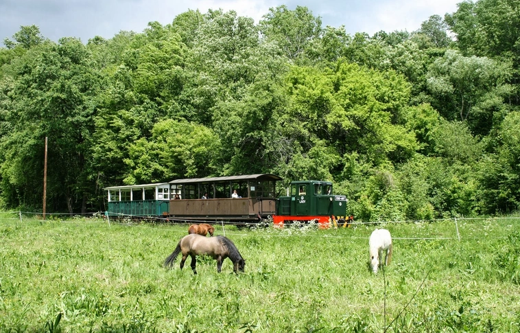 Nyomvonalbejárás, piknikezés Mahócán