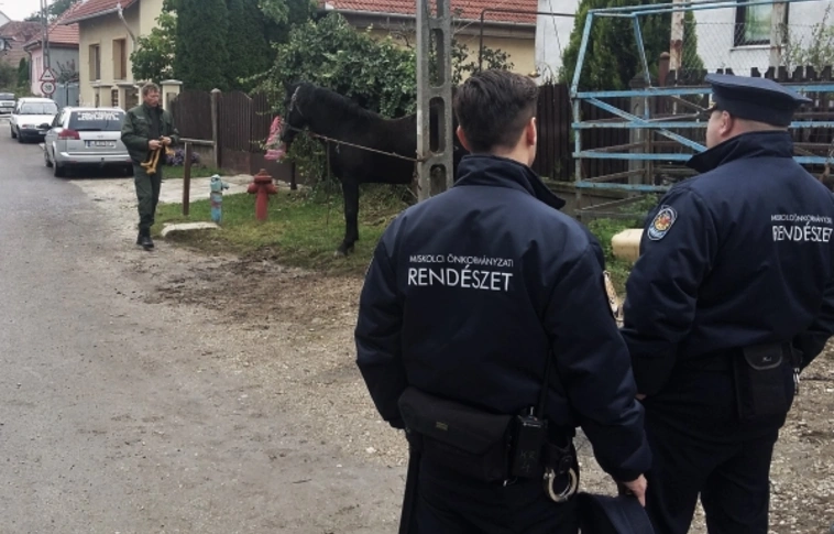Állati egy hete volt a miskolci rendészeknek!