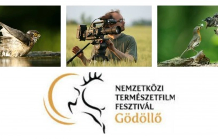 Természet- és dokumentumfilmek a Művészetek Házában